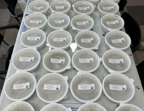 마산지역자활센터 개관 25주년 기념 나눔 행사 진행8월 1일, 마산지역자활센터의 개관 25주년을 맞이하였습니다.이를 기념하여 참여주민과 요양보호사, 종사자분들께 삼계탕을 나누며 감사의 마음을 전했습니다.올여름 더위도 잠시 잊게 만든 맛있는 시간이었어요.앞으로도 함께하는 길에 더 많은 웃음이 피어나길 기대해봅니다.